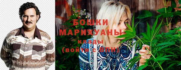 молекула духа Туринск