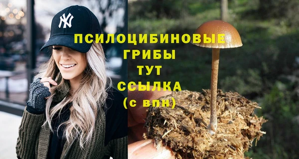 кристаллы Зеленокумск
